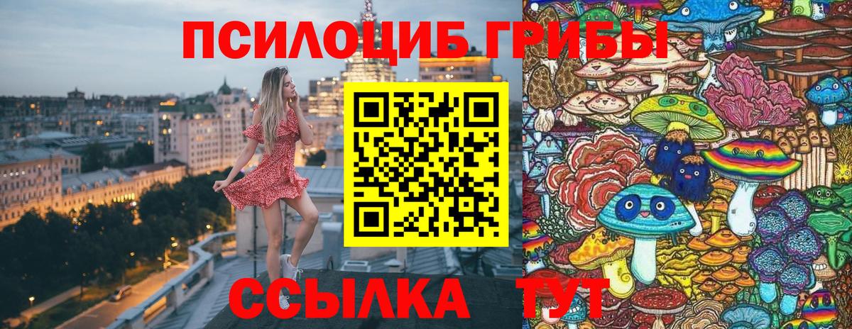 Галлюциногенные грибы прущие грибы  даркнет сайт  Урус-Мартан  Вход с VPN  Галлюциногенные грибы мухоморы 